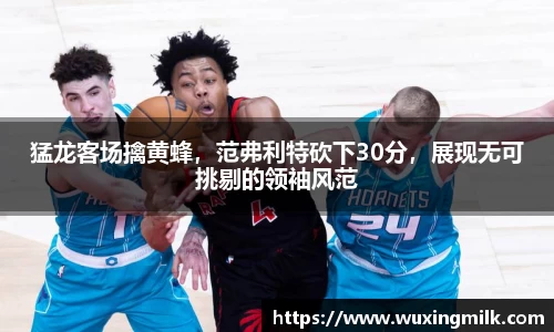 猛龙客场擒黄蜂，范弗利特砍下30分，展现无可挑剔的领袖风范
