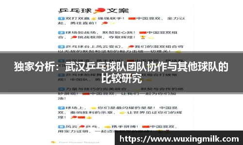 独家分析：武汉乒乓球队团队协作与其他球队的比较研究
