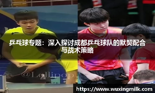 乒乓球专题：深入探讨成都乒乓球队的默契配合与战术策略