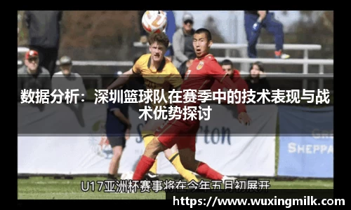 数据分析：深圳篮球队在赛季中的技术表现与战术优势探讨