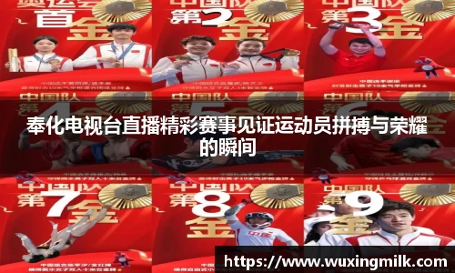 奉化电视台直播精彩赛事见证运动员拼搏与荣耀的瞬间