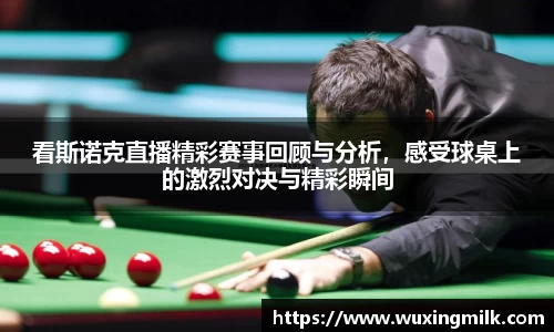 看斯诺克直播精彩赛事回顾与分析，感受球桌上的激烈对决与精彩瞬间