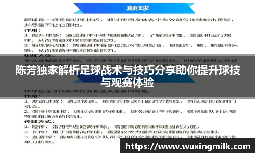 陈芳独家解析足球战术与技巧分享助你提升球技与观赛体验