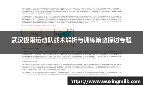 武汉极限运动队战术解析与训练策略探讨专题