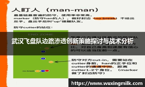 武汉飞盘队边路渗透创新策略探讨与战术分析
