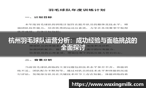 杭州羽毛球队运营分析：成功经验与面临挑战的全面探讨
