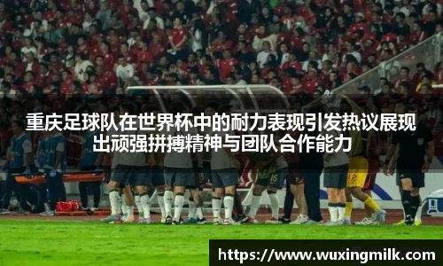 博鱼boyu官方网站