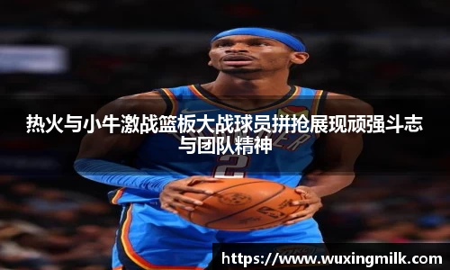 热火与小牛激战篮板大战球员拼抢展现顽强斗志与团队精神